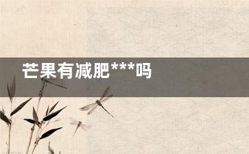 芒果有减肥***吗 芒果可以用来减肥吗(芒果能减肥)